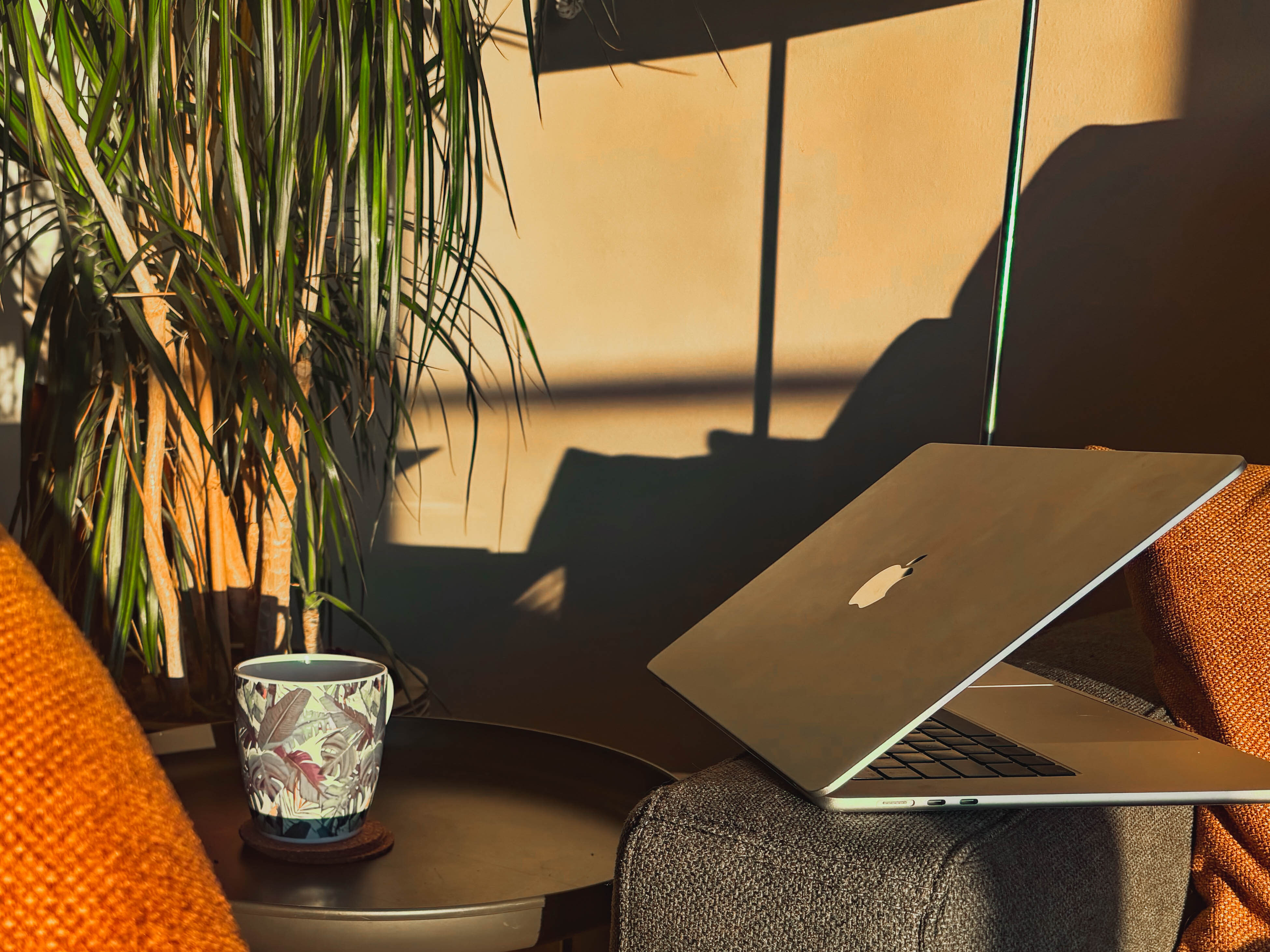 Portret / hero-afbeelding van TMvE